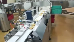 Ligne automatique d’emballage de nouilles instantanées