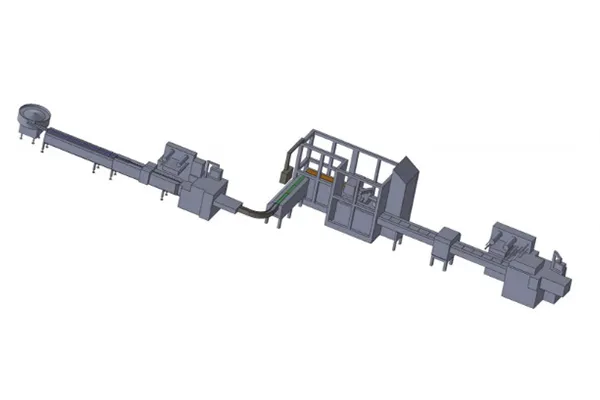 Ligne automatique de conditionnement secondaire