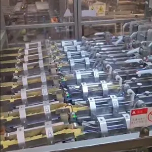 Ligne automatique d’emballage de chips