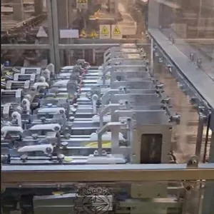 Ligne automatique d’emballage de chips
