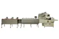Machine de conditionnement horizontal SF-C